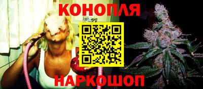 спайс Аша