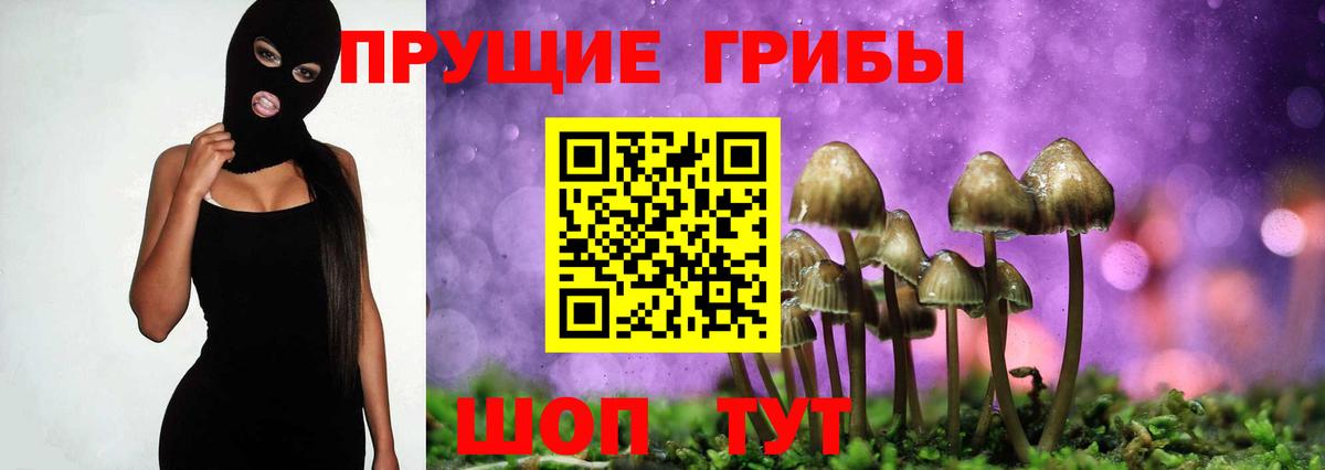 Кыштым  Галлюциногенные грибы прущие грибы  наркотики  Вход с VPN 