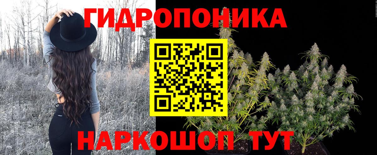 МАРИХУАНА гибрид  Шишки марихуана Bruce Banner  Марихуана ГИДРОПОН  Кыштым  Канабис VHQ  Вход с VPN 